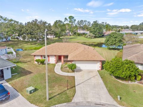 A home in WESLEY CHAPEL