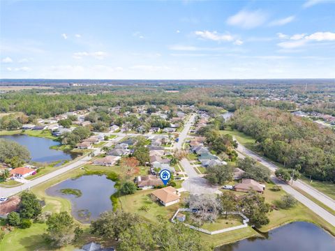 A home in WESLEY CHAPEL