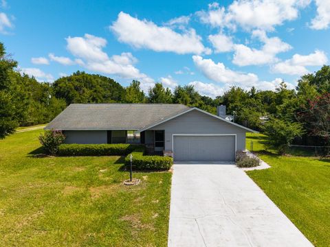 Photo of 205 NE 53rd Street, Ocala, FL 34479 (MLS # OM704416)