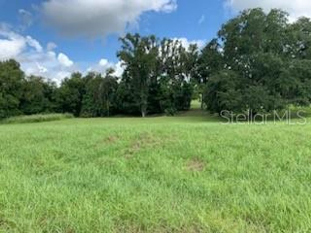 Photo of 13620 Carnoustie Circle, Dade City, FL 33525 (MLS # T3553060)