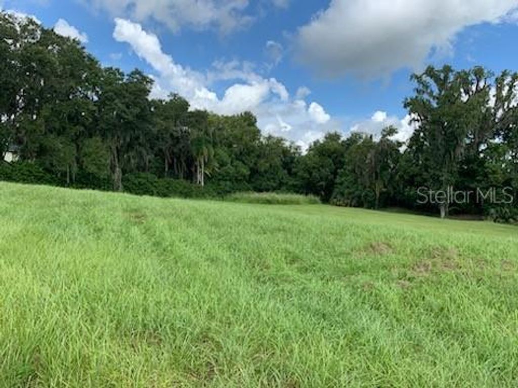 Photo of 13620 Carnoustie Circle, Dade City, FL 33525 (MLS # T3553060)