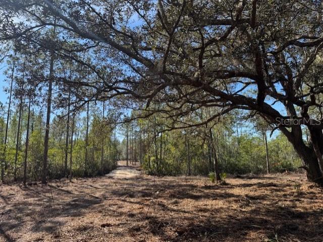 This rare Florida treasure is tucked into the live oaks and spring hammocks of Marion County, this property offers expansive privacy with easy access to public land and waterways. This Property is an outdoor enthusiasts dream loaded with whitetail deer and osceola turkeys. Property is currently going through approval for an ag lot split. This property boasts many majestic oaks! Don't miss out on this rare opportunity to own a piece of Florida's stunning natural beauty.