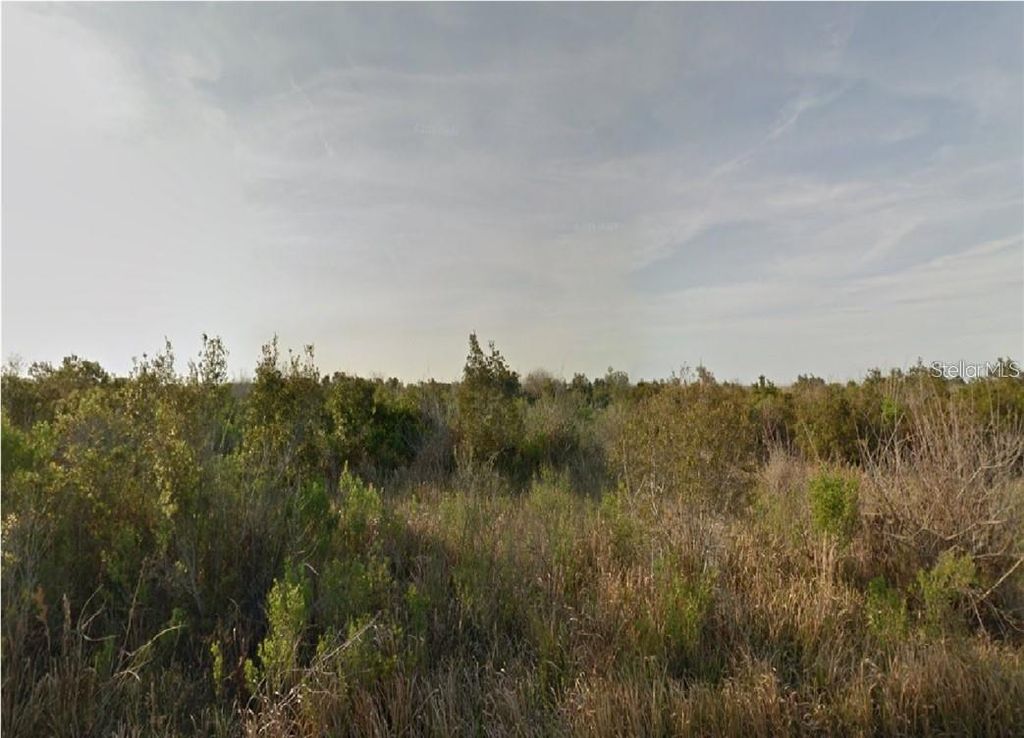 Photo of 981 Laika Road SW, Palm Bay, FL 32908 (MLS # O6074687)