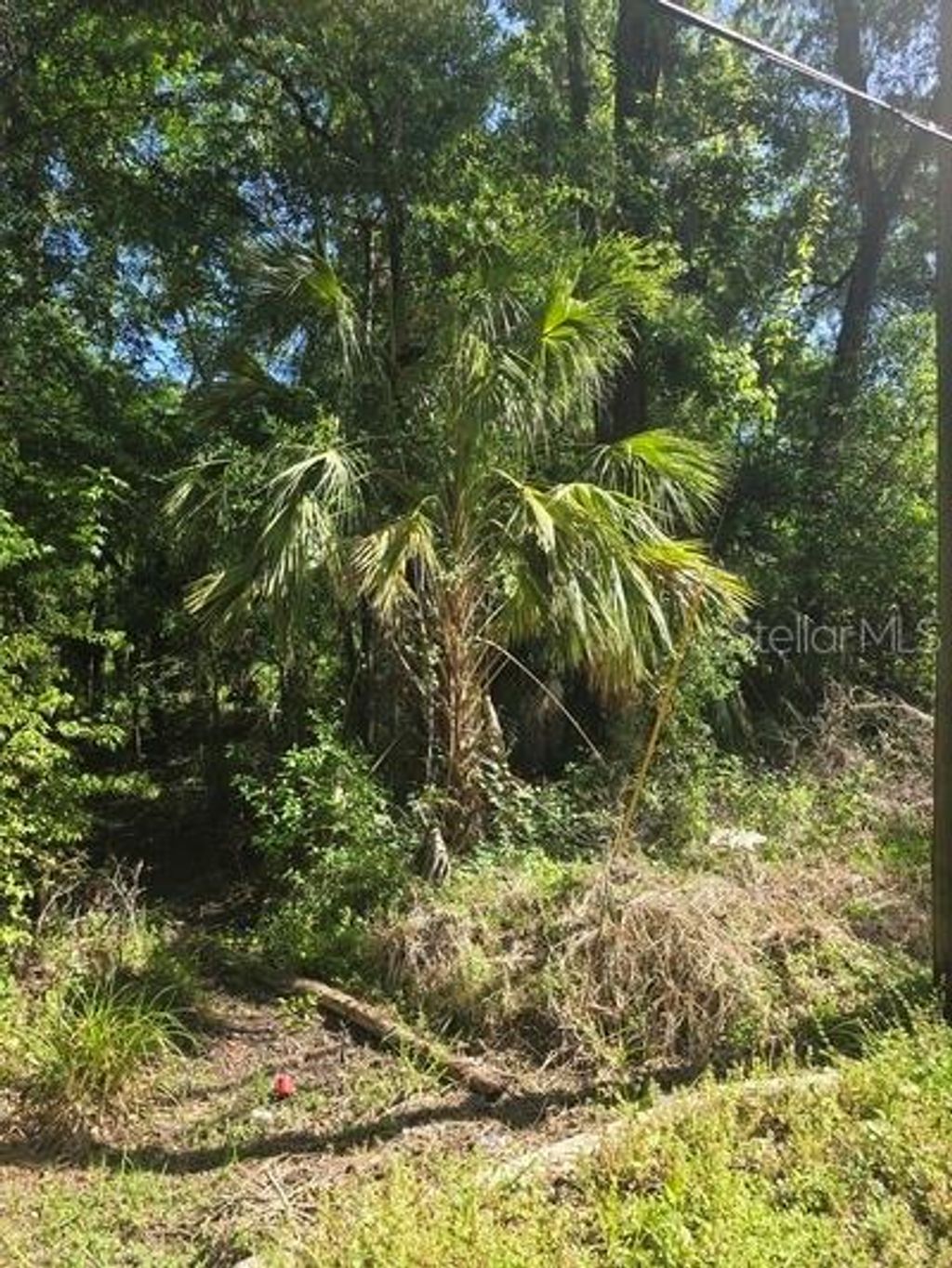 Photo of 0 Fort Dade Avenue, Brooksville, FL 34601 (MLS # TB8493754)