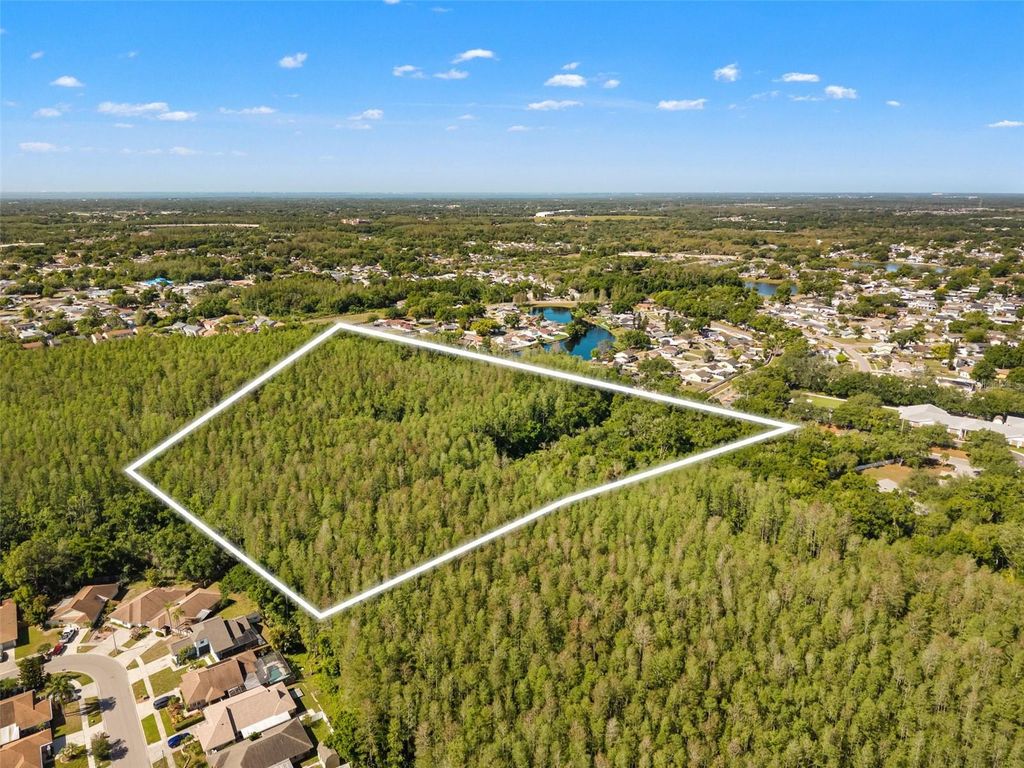 Photo of 12591 Henderson Road, Tampa, FL 33619 (MLS # TB8499977)