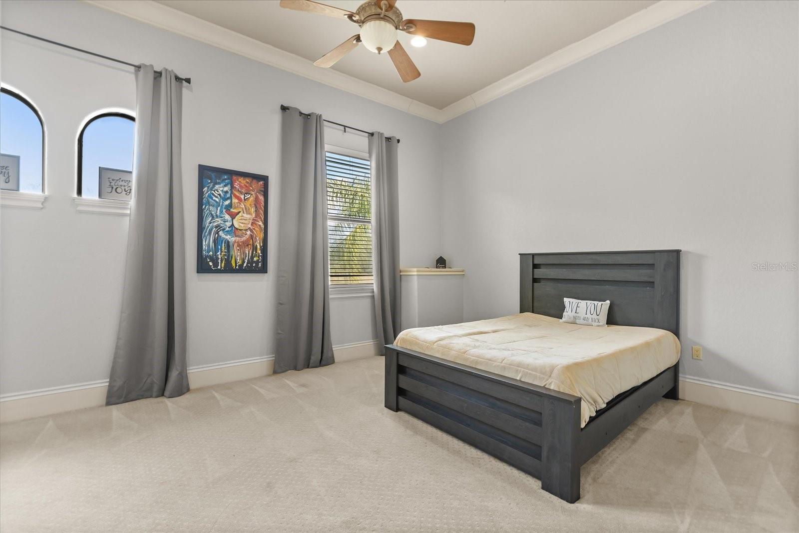 LAKE DOWN POINTE 50 42 - Residential