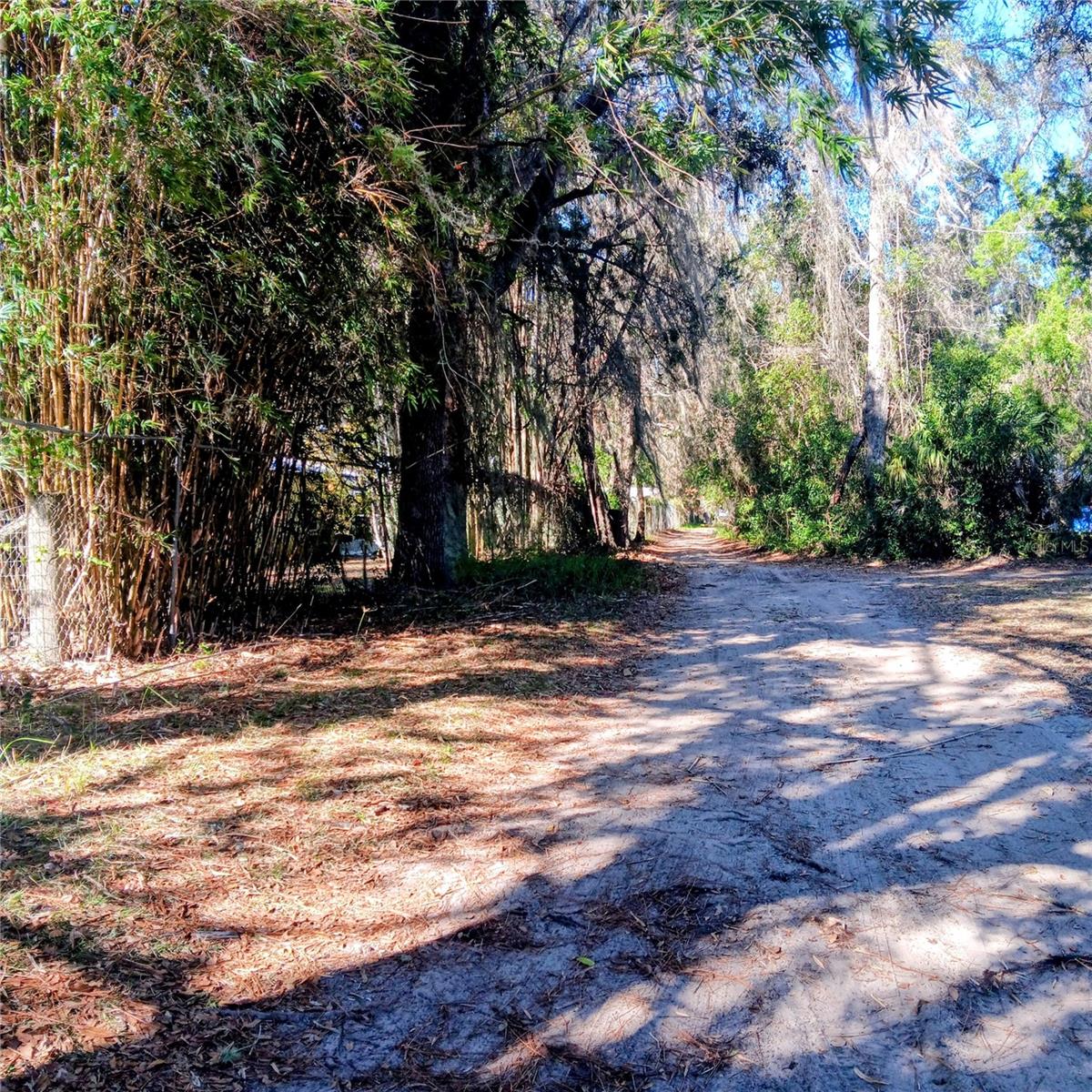 LAKE LYNNE - Residential