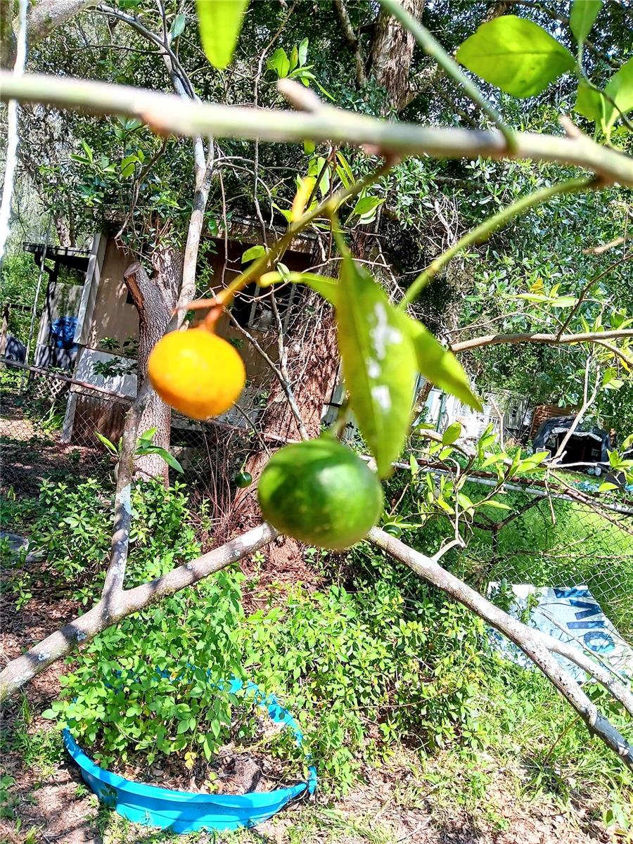 LAKE LYNNE - Residential