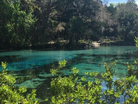 LAKE LYNNE - Residential