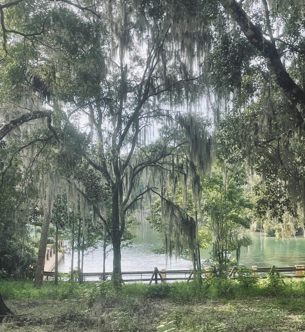 LAKE LYNNE - Residential