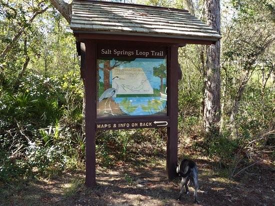 LAKE LYNNE - Residential