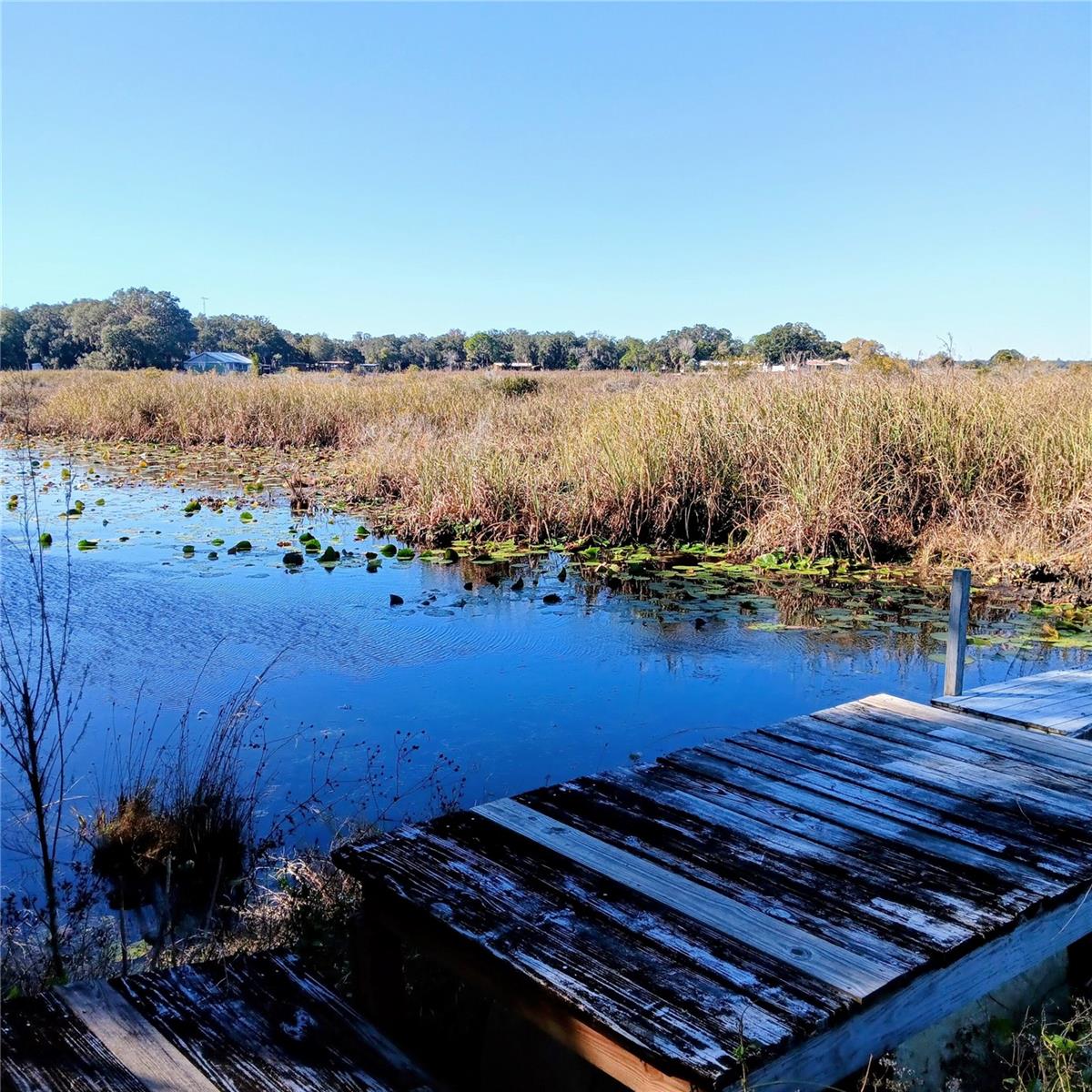 LAKE LYNNE - Residential