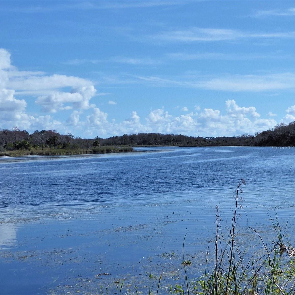 LAKE LYNNE - Residential