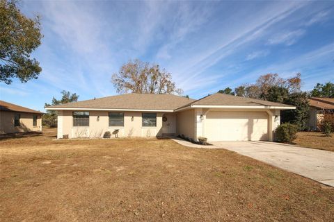 Photo of 13277 Delbarton Street, Spring Hill, FL 34609 (MLS # W7882419)