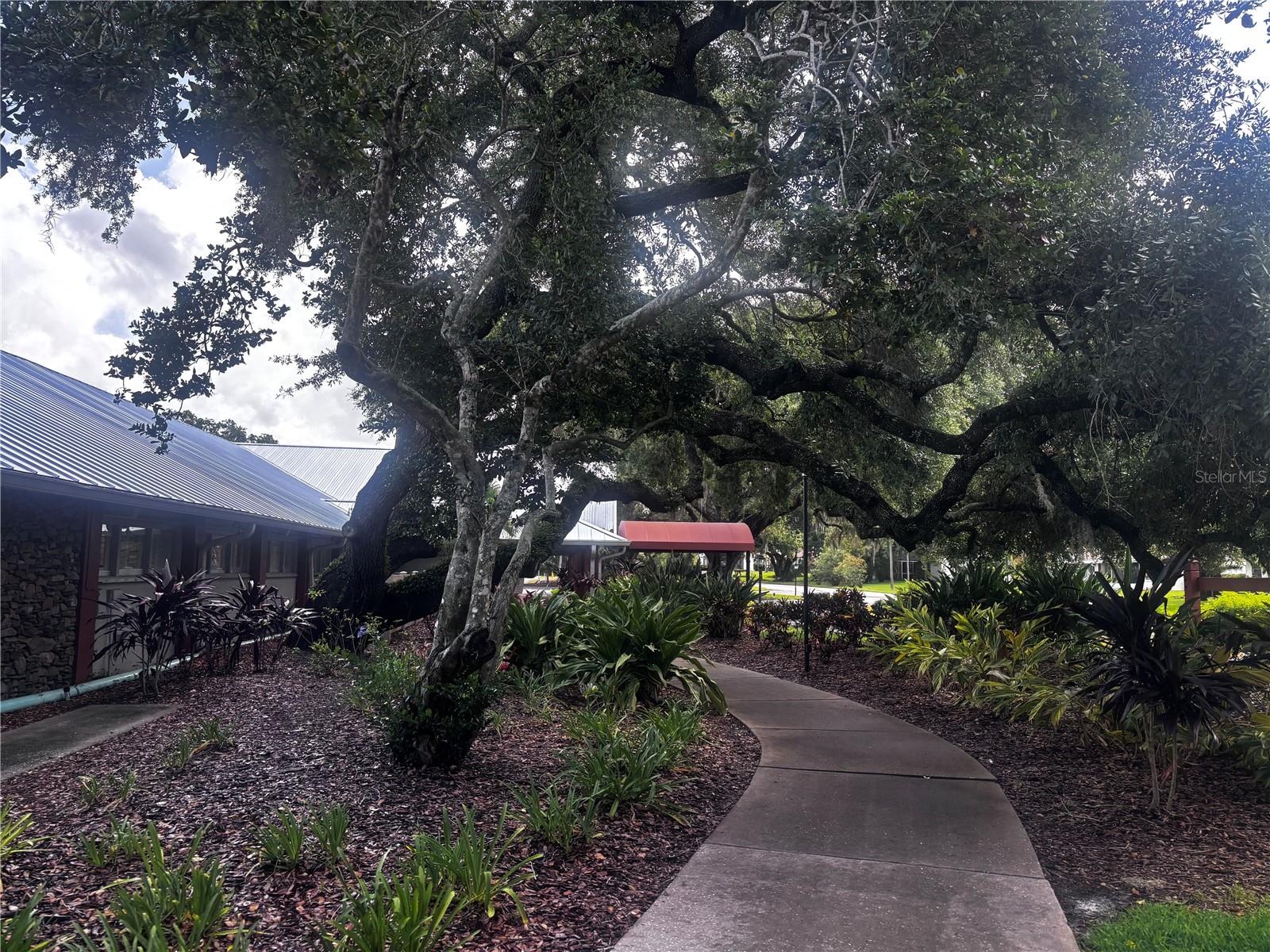 TIMBER OAKS FAIRWAY VILLAS - Residential