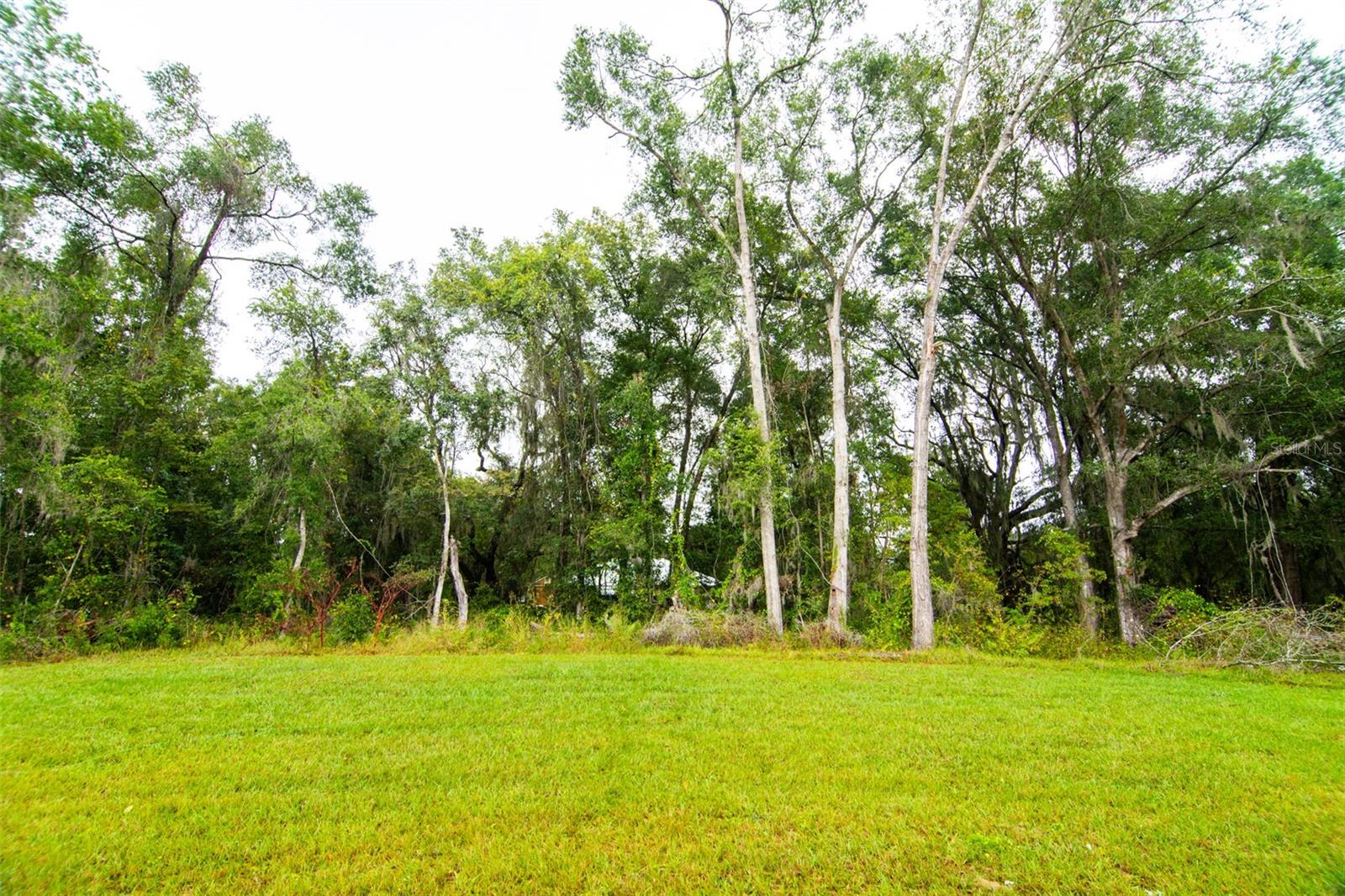 MARION OAKS - Residential