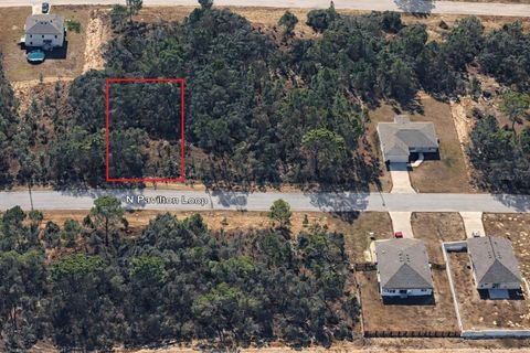 6779 N PAVILION LOOP CITRUS SPRINGS FL 34433