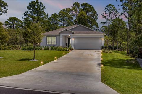 Photo of 703 Volco Road, Edgewater, FL 32141 (MLS # NS1084486)