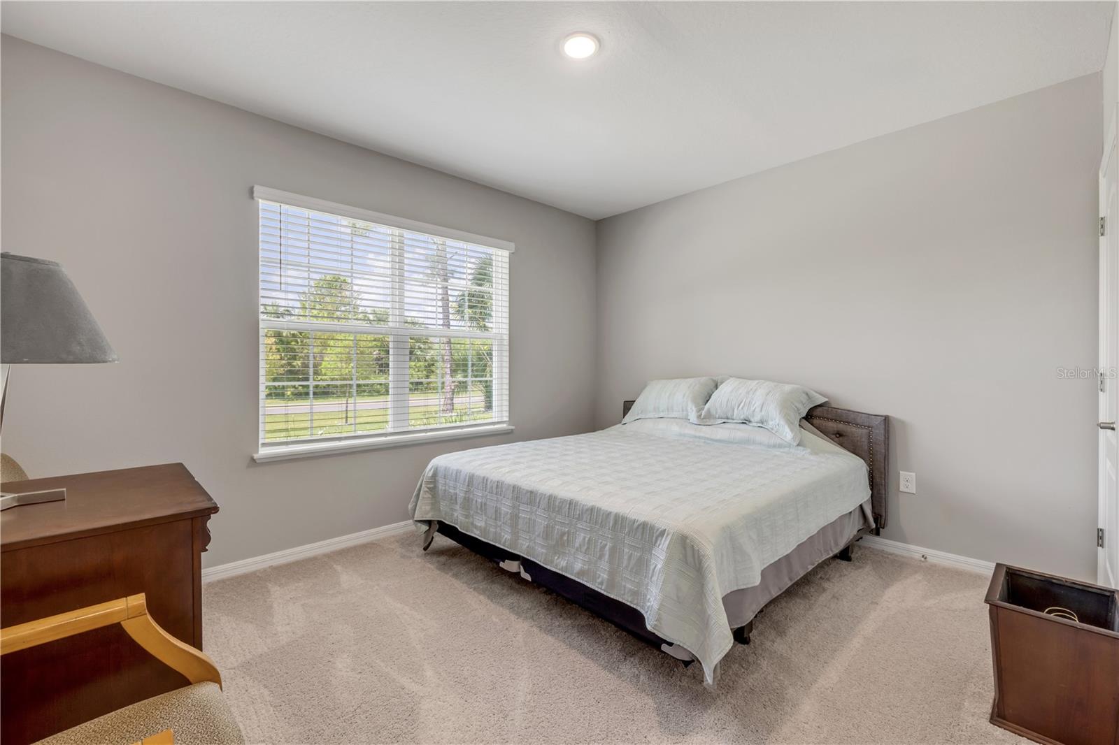 WASHINGTON PARK - Residential