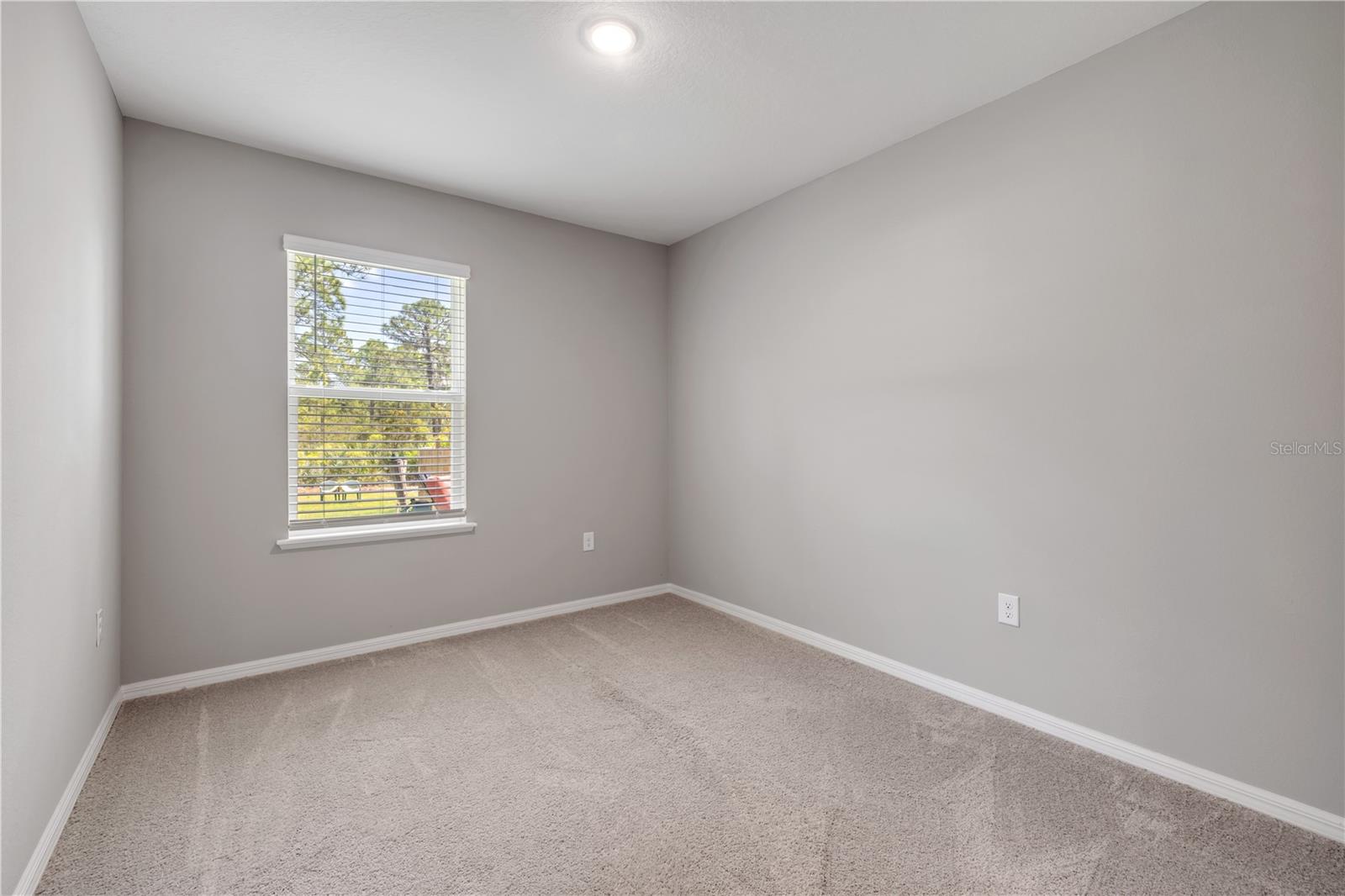 WASHINGTON PARK - Residential