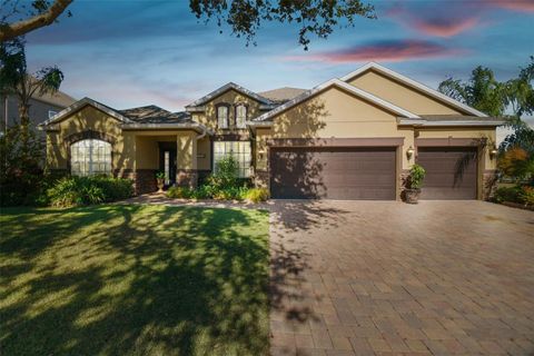 1116 HILLANDALE RESERVE DRIVE TAMPA FL 33613
