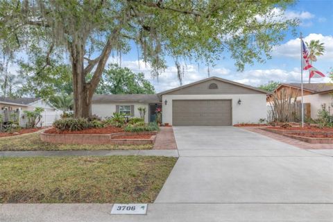 Photo of 3706 Orangecrest Street, Valrico, FL 33596 (MLS # TB8495890)