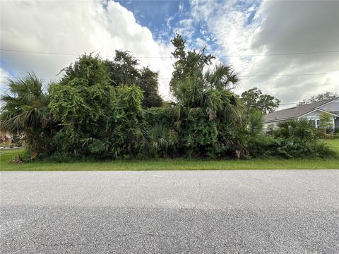 38 PINEAPPLE DRIVE PALM COAST FL 32164