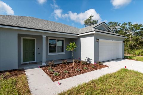 A home in OCALA