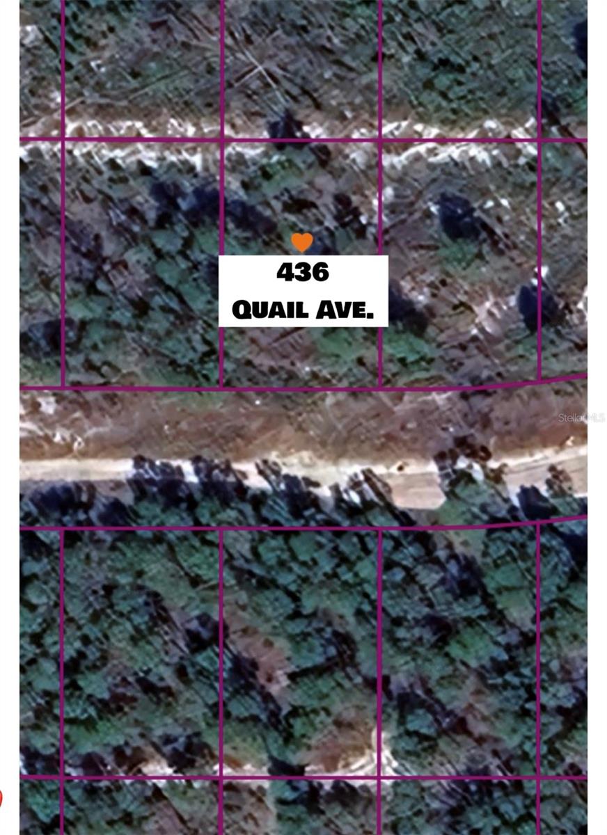 VACANT LOT in a desirable area. Prime residential area close to highly-rated schools. Now is your moment to secure the American Dream! Don't wait too long—opportunities of this magnitude are fleeting. Near Lake Jackson, shopping, and medical facilities. Priced to sell. Easy access to major highways and parks. Grab them before the builders get wind of this nice quiet area.