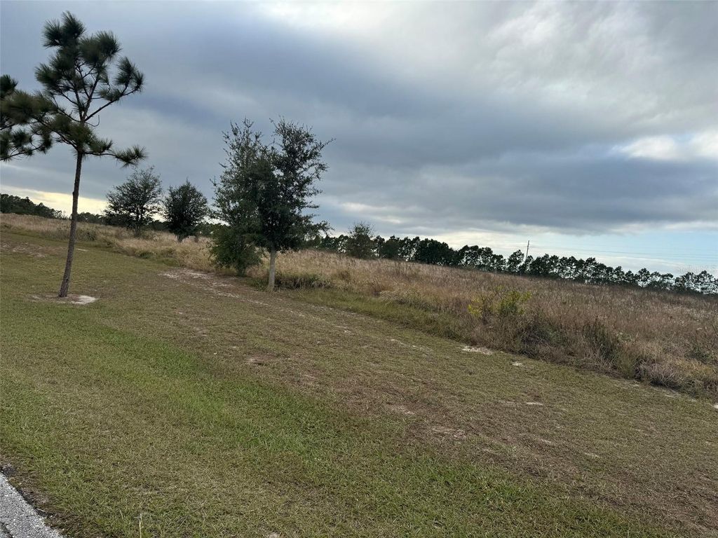 Photo of 2060 Kennwood Grove Lane, Auburndale, FL 33823 (MLS # TB8452510)