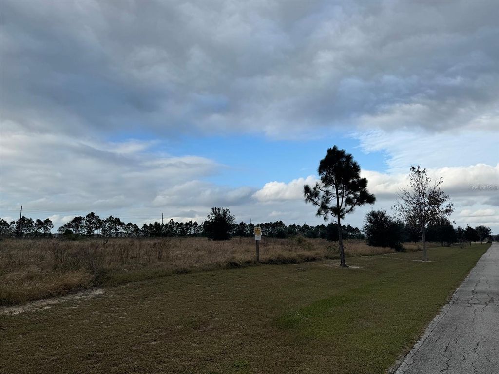 Photo of 2060 Kennwood Grove Lane, Auburndale, FL 33823 (MLS # TB8452510)