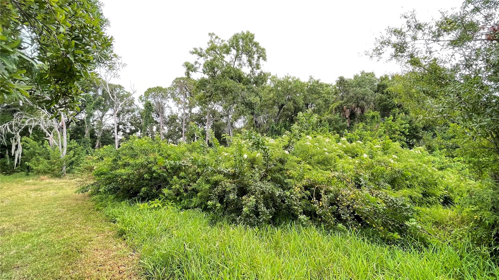 BYARS HEIGHTS - Land