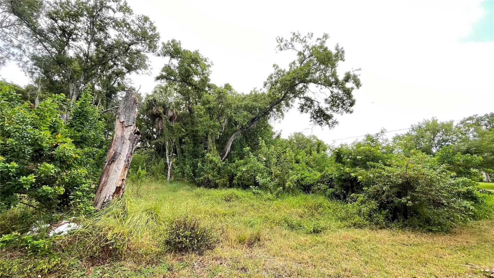 BYARS HEIGHTS - Land