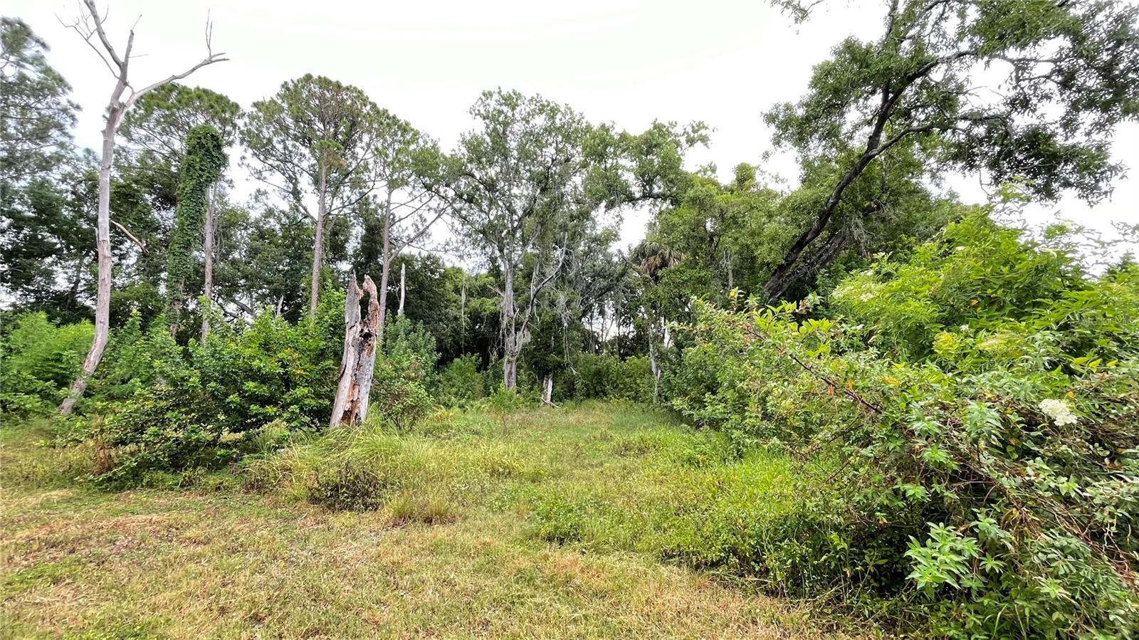 BYARS HEIGHTS - Land