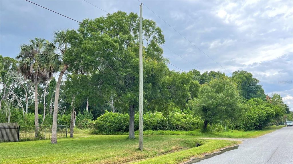 Photo of 9461 W Norfolk Street, Tampa, FL 33615 (MLS # TB8453601)