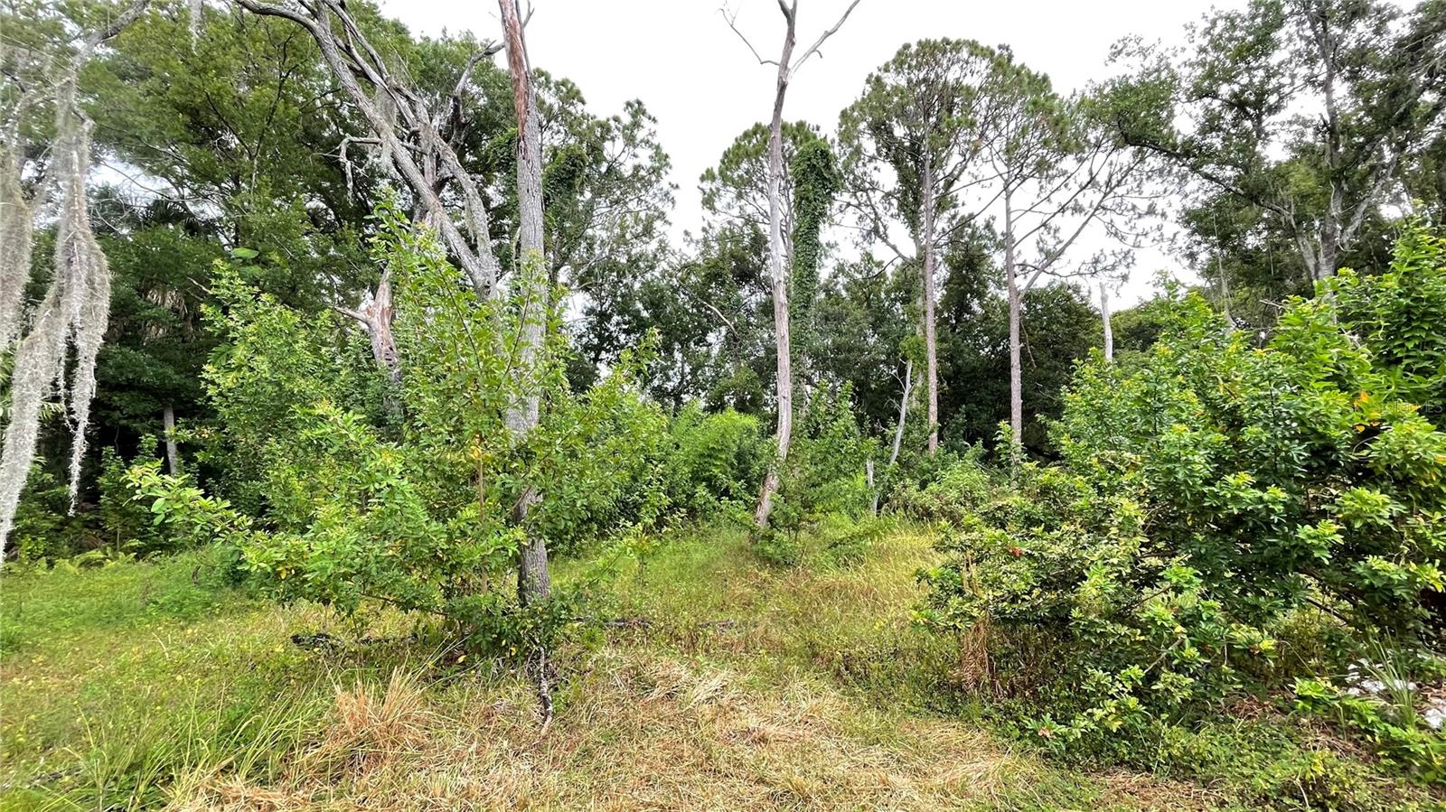 BYARS HEIGHTS - Land