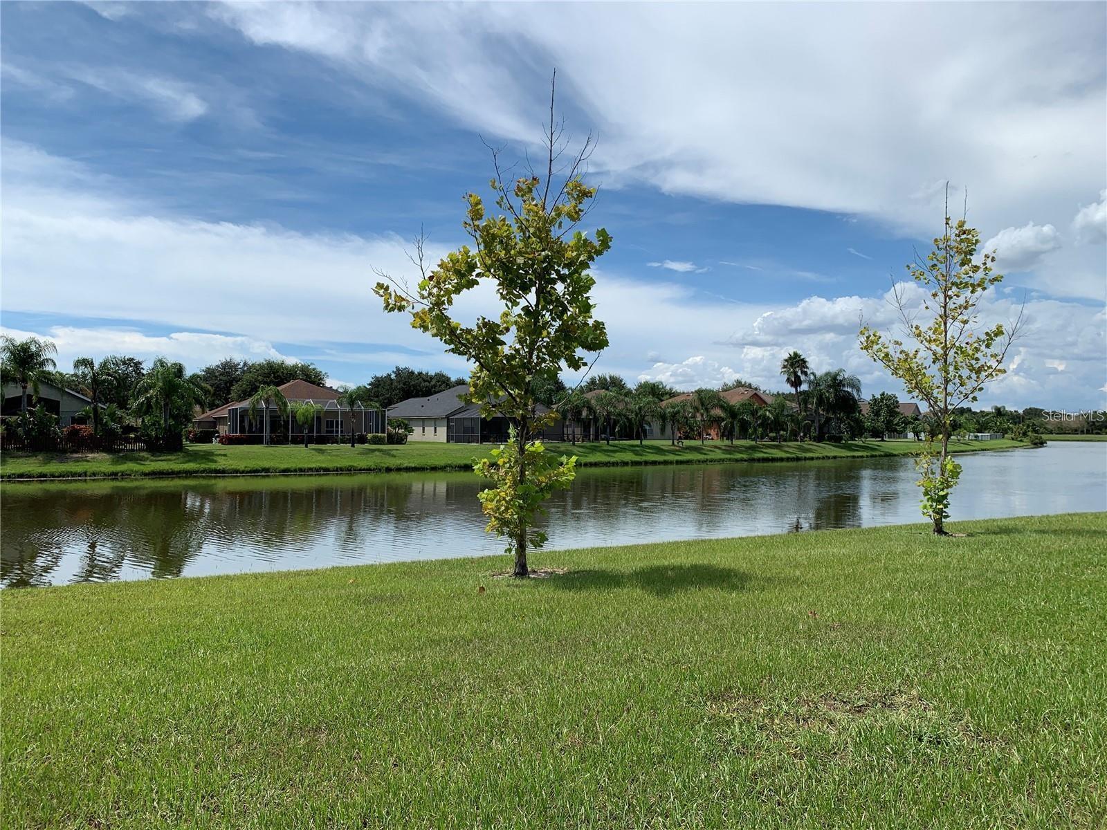 7037 TOWERING SPRUCE DRIVE