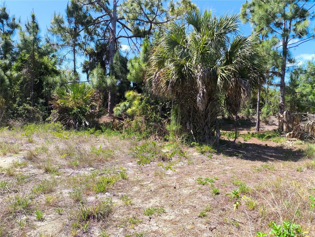 Photo of 12289 Clarendon Avenue, Port Charlotte, FL 33981 (MLS # O6401929)