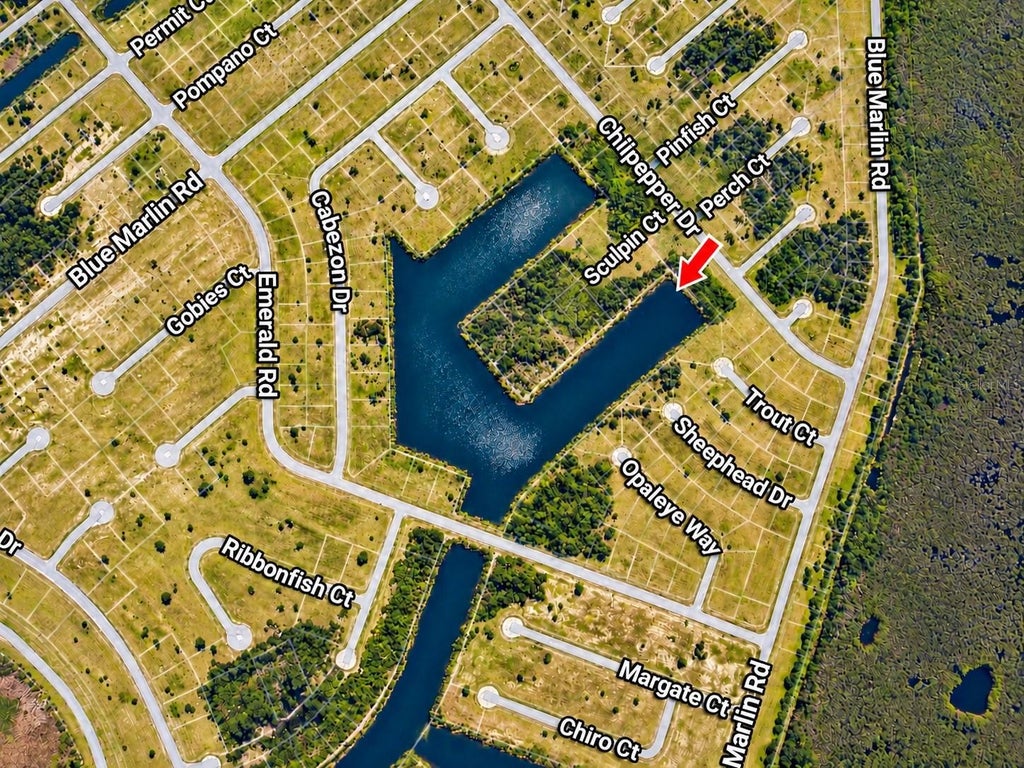 Photo of 12521 Chilipepper Drive, Placida, FL 33946 (MLS # TB8556558)