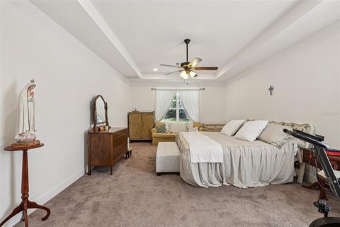 Tiny photo for 3 Floribunda Court, Homosassa, FL 34446 (MLS # OM711480)