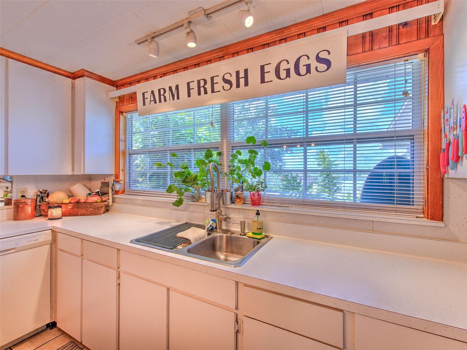 DEESON MANOR - Residential