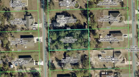11230 LIBERTO ROAD WEEKI WACHEE FL 34614