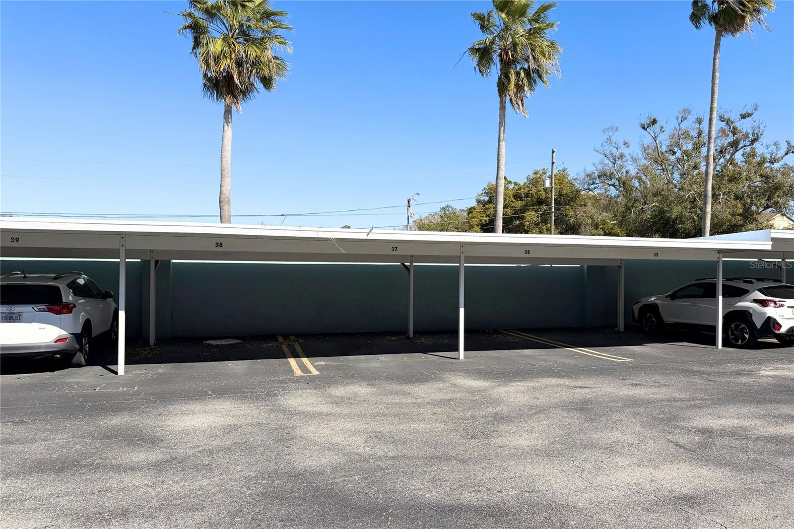 BELLEAIR FOREST - Residential