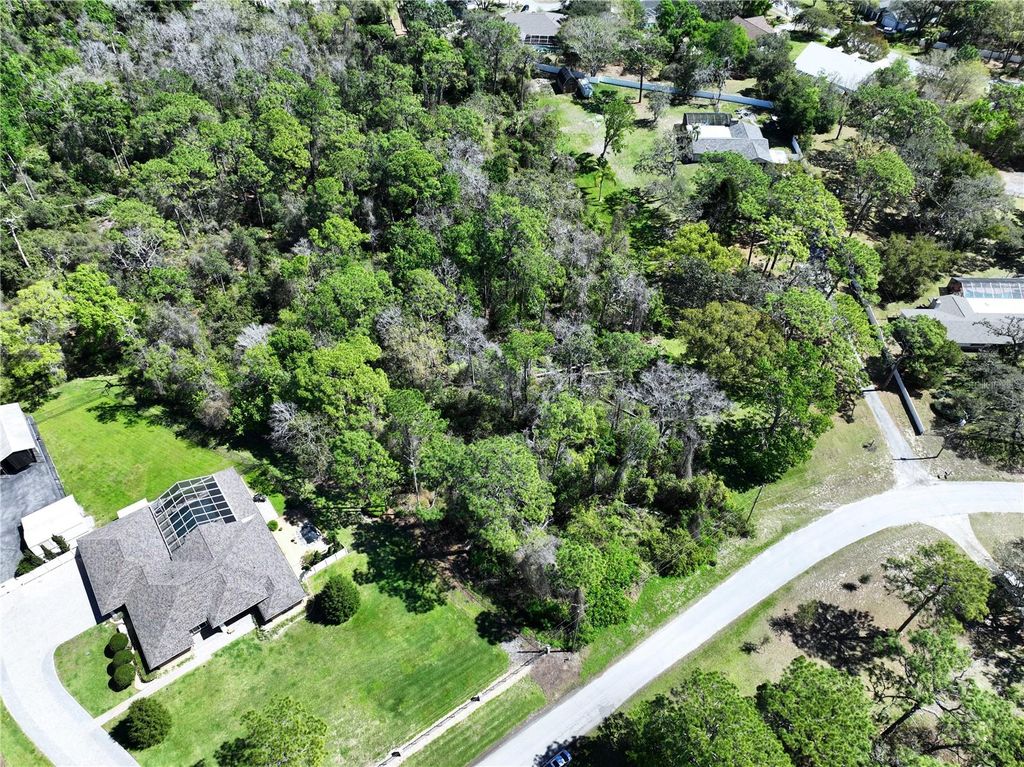 Photo of Red Oak Loop, New Port Richey, FL 34654 (MLS # TB8362344)