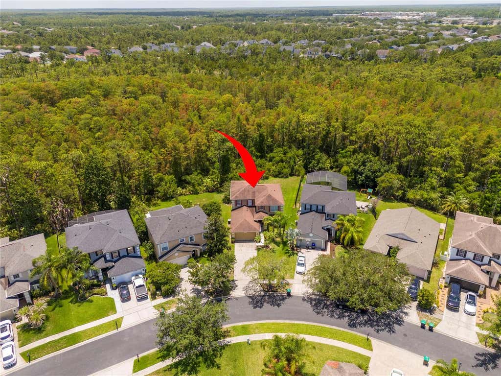 Photo of 14938 Hartford Run Drive, Orlando, FL 32828 (MLS # O6429287)