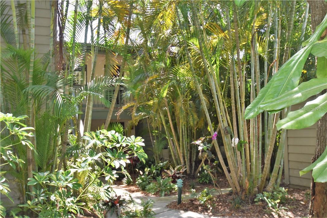 ***AVAILABLE NOW THROUGH DECEMBER 2025*** Newly renovated kitchen and living room, modern furnishings and details, this 2/2, 2nd Floor unit in Pelican Cove is a must-see. Come live the Florida lifestyle! Pelican Cove is a 75-acre gated, vibrant, waterfront community nestled among manicured tropical foliage truly offering something for everyone. Abundant amenities include an 86-slip boat harbor with sailboat water, excellent rates, and a launch dock for kayaks and canoes, 6 heated swimming pools, hot tub, 3 clubhouses, 4 lighted tennis courts, shuffleboard, basketball, dog walk area, 5.5 miles of walking trails and boardwalks as well as fishing gazebos, water exercise classes, exercise facilities, 2 art studios and a pottery classroom. Take classes at Pelican Cove University or join one of the more than 37 clubs for photography, fiber art, bike riding, yoga, Tai Chi, culinary arts, and card clubs. Woodworking, sculpting and evening jazz & classical music concerts round out the active lifestyle. Pelican Cove, the ultimate adult sanctuary, continues to be recognized and win awards for its landscaping and its superior management. Minutes from SIESTA KEY BEACH, restaurants, shopping, movie theaters and culturally rich downtown Sarasota. No Smoking, No Pets, No Motorcycles, and No Recreational vehicles/Pick Up Trucks.