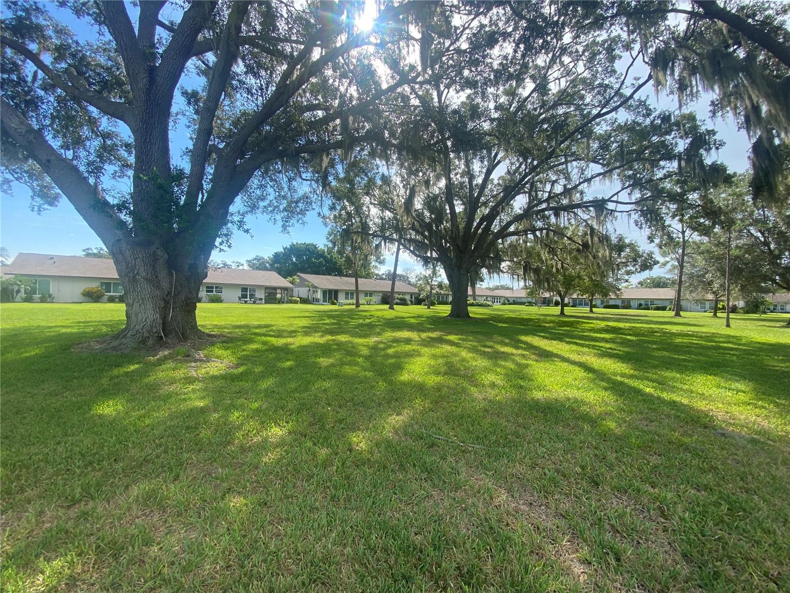 FOREST PINES 03 - Residential