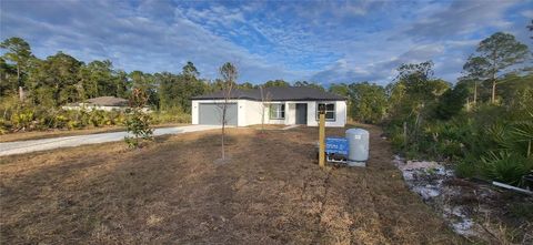 A home in DELAND