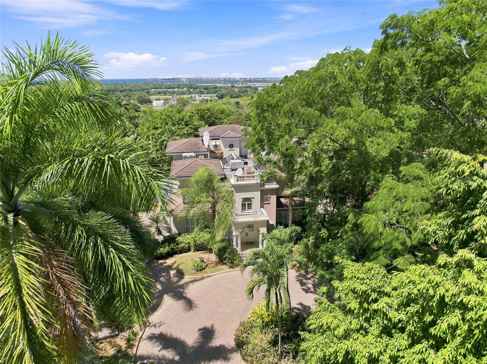 513 TINTILLO HILL ESTATES