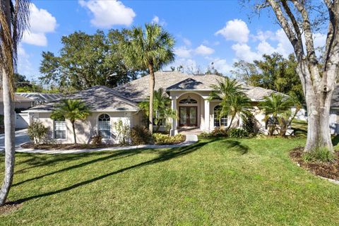 704 FAYETTE PLACE LUTZ FL 33549